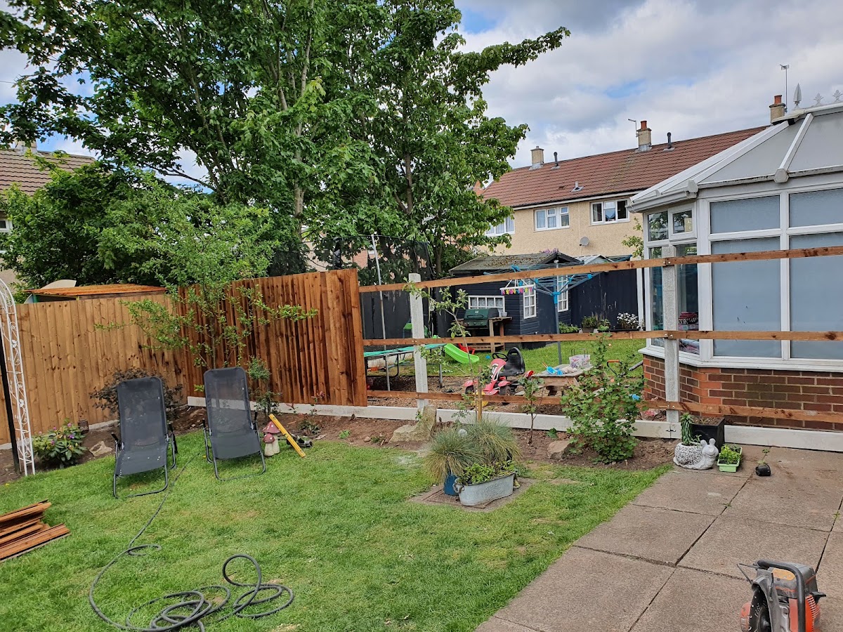 New feather-edge fencing with a timber pergola frame running along a conservatory